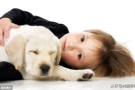 如何让小孩与狗狗安全相处？图片