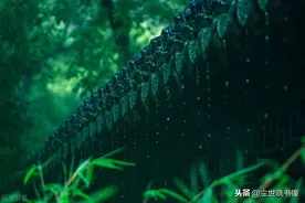 杨万里这首《听雨》充满诗意，同时还有着淡淡的忧伤，写得很有趣图片