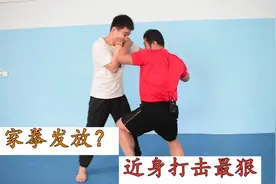形意拳打人如亲嘴？近身打击最狠，庞超老师解析图片