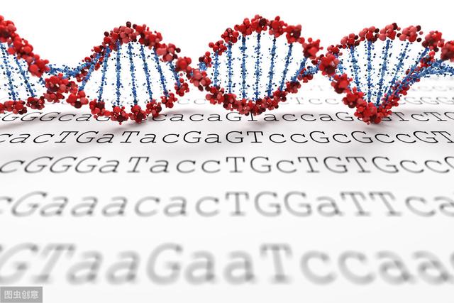“偷”营养又“偷”基因！科学家在寄生植物领域又一新发现