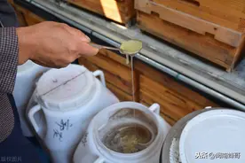 蜜蜂不喂糖水越冬技术，操作简单又实用，业余养蜂人的新养法图片