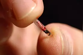 美国一家公司在员工体内移植芯片，竟然是为了不用打卡图片