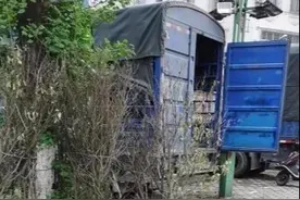 桂林一货车后厢传出异响！民警突袭，将4人一锅端图片