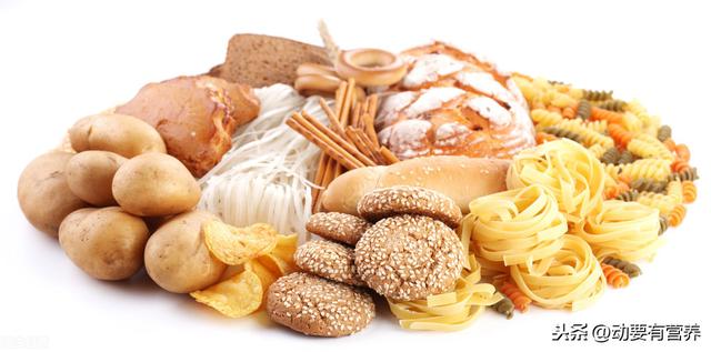 科普文运动与各类营养