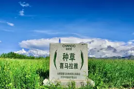 公益初心不改，谱写扶贫新章——记2020自然堂种草喜马拉雅项目图片