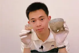 新买多肉遇高温，炎炎夏日来上盆：我有小妙招，安渡“鬼门关”图片