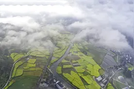 春天里的故事图片