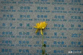 《本草纲目》中药名字能有多好听，意境满满图片