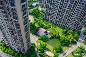 纠结：高层住宅，到底该选哪一层？内行建议：坚持“选3不选2”图片