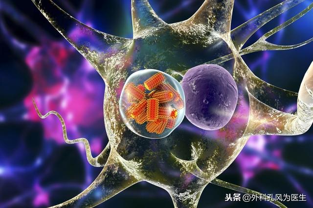 感染上狂犬病病毒，一旦发病，生存期不超过5天，几乎100%死亡