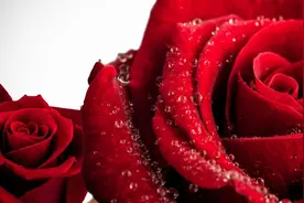 某人，我想你了，但是再也不会去打扰你了图片