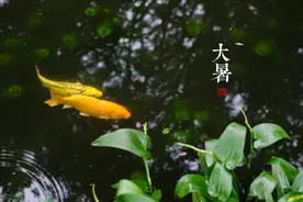 孙悟空职场图片