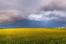 2021年农村征地按“六步走”，农民要捋清楚这些事图片