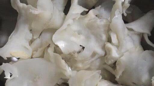 花胶有霜 2026年花胶表面有一层白色能吃吗