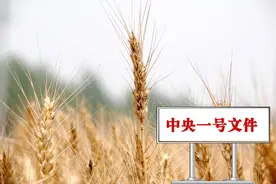 土地流转毁约“跑路”怎么办？有这4大措施保障，农民都放心了图片