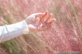 坐上直升机，睡进帐篷里，在武汉赏花这样玩图片