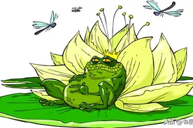 钓鱼中的行话有哪些？有些秘而不宣的行话却是钓技精髓，爆护法则图片