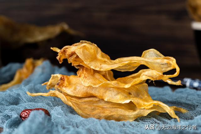 鱼胶浸泡两天可以吃吗 2026年鱼胶浸泡两天可以吃吗有营养吗