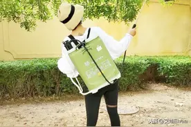 张歆艺真高调，穿透视打底裤背驱蚊水小区驱虫，“大象腿”太抢镜图片