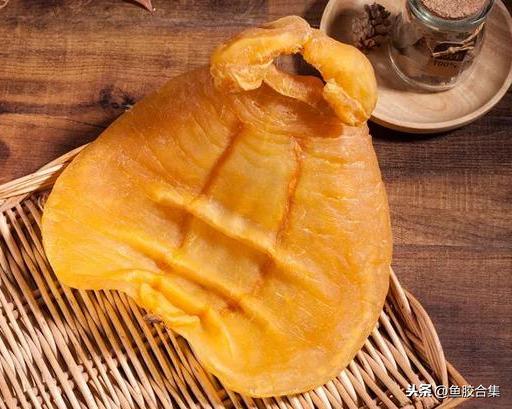 赤嘴鳘鱼胶功效作用 2026年赤嘴鳘鱼胶是什么鱼