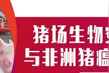 猪场生物安全体系建设与非洲猪瘟防控技术指南图片