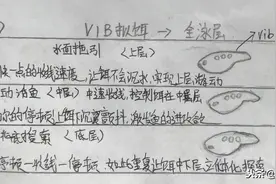 新手路亚应如何选择拟饵？以泳层选择拟饵，让你的假饵“活”起来图片