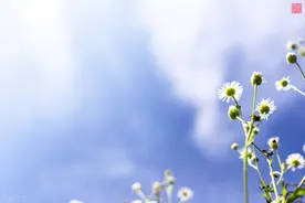 贺雪峰：村里老年人瘫痪了还能活蛮多年的图片