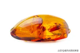 学完了四下第二单元的说明文，让我们一起来做做第二单元测试卷吧图片