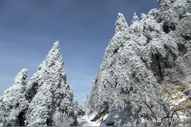 资治通鉴|第156卷梁纪十二 高祖武皇帝十二中大通五年（癸丑533）图片