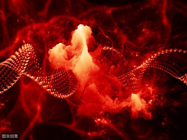 生物老师整理的高一蛋白质知识点，快来一起看看吧