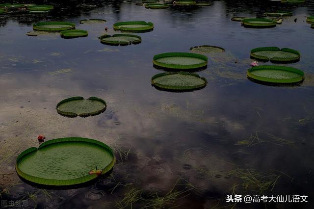 朱自清的《荷塘月色》你知道好在哪里吗？该如何去进行分析呢？
