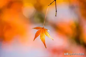 人间一趟，积极向上，不畏将来，不念过往图片