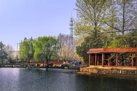 欢迎来到徐州汉王镇，这里是第五届全国文明村镇之一图片