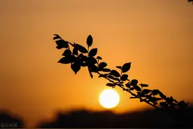 穷可以让一个人为难到什么地步？没穷过，就不知道穷有多苦图片