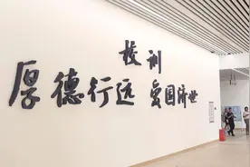 誓要成为“大湾区最好民办”，迪茵公学有什么资本“口出狂言”？图片