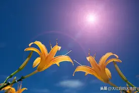 比《你好，李焕英》更值得回味的是主题曲《萱草花》图片