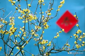 今年立春在晚上，俗语“早立春一家亲，晚立春穷一春”，咋回事？图片