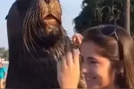 海狮与女游客合照，有样学样伸出舌头，看到回应女子的做法绝了图片