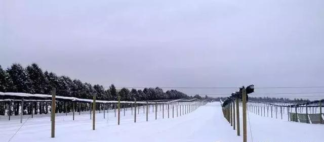 鏋佸湴澶╃劧瑗挎磱鍙傦紝鍛婅瘔浣犱笉鐭ラ亾鐨勫仴搴风瀵? onerror=