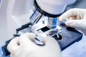 研究称1月1日起病毒已在意大利传播；央视评回国女子大闹机场...... | 网事沸点图片