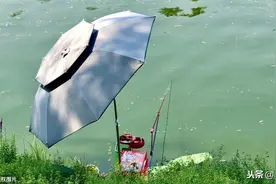 果味钓鱼添加剂，掌握配料表，记住这几步，在家就能做图片