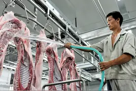 我国每年屠宰7亿头猪，猪毛都用来干啥了？可不是当成垃圾处理了图片