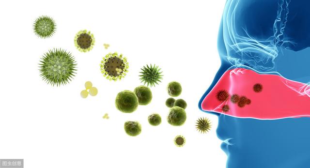 小分子肽适合什么人吃 2026年最新小分子肽适合什么人吃