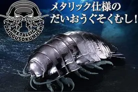 模玩资讯：GASHAPON 团子虫 金属色大王具足虫 3个套组图片