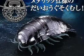 模玩资讯：GASHAPON 团子虫 金属色大王具足虫 3个套组图片