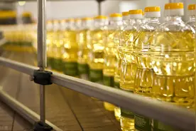 快讯：2020年6月19日粮油饲料价格行情图片