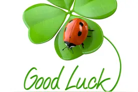 史上最全的歇后语分类，每天看1遍，好口才就来啦图片