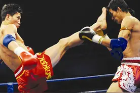 动画（GIF）讲解“前踢”如何成为了擂台上KO对手的绝杀腿图片