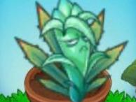 5月1日的植2花园战争更新啦