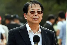 全国象棋赛最大逆转，快被绝杀还翻盘了，用的胡荣华跟杨官璘开局图片